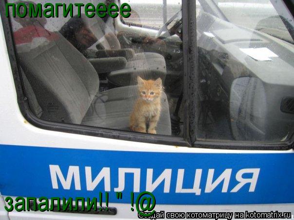 помагитееее запалили!! "№!@... Котоматрица: помагитееее запалили!! "№!@