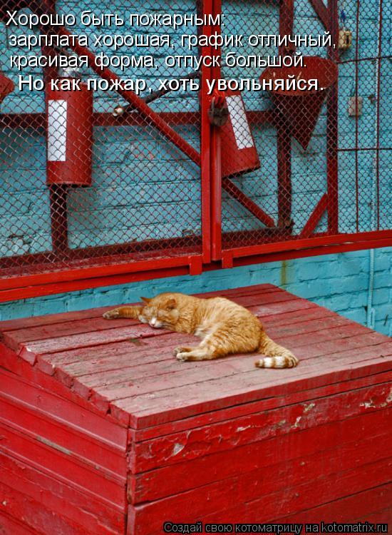 Хорошо быть пожарным: зарплата хорошая, график отличный, красивая форма, отпуск большой. Но как пожар... Котоматрица: Хорошо быть пожарным: зарплата хорошая, график отличный, красивая форма, отпуск большой. Но как пожар, хоть увольняйся.