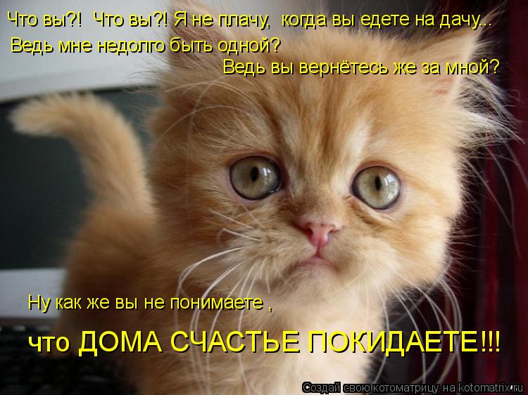 Ну как же вы не понимаете , Что вы?! Что вы?! Я не плачу, когда вы едете на дачу... Ведь мне недол... Котоматрица: Ну как же вы не понимаете , Что вы?! Что вы?! Я не плачу, когда вы едете на дачу... Ведь мне недолго быть одной? Ведь вы вернётесь же за мной? что