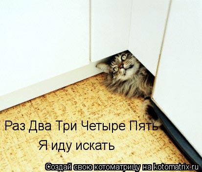 Раз Два Три Четыре Пять Я иду искать... Котоматрица: Раз Два Три Четыре Пять Я иду искать