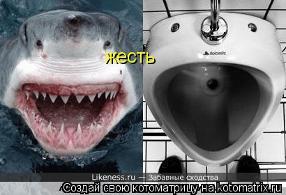 жесть... Котоматрица: жесть