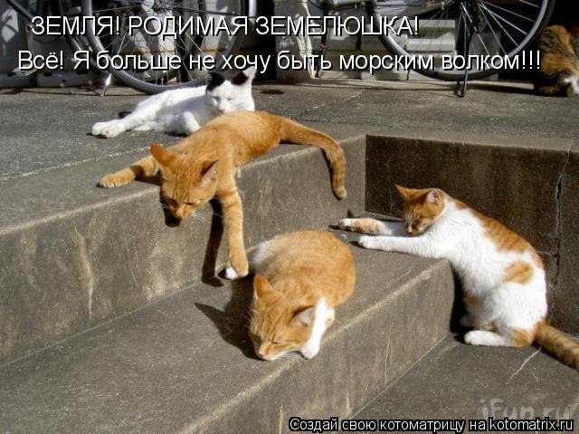 ЗЕМЛЯ! РОДИМАЯ ЗЕМЕЛЮШКА! Всё! Я больше не хочу быть морским волком!!!... Котоматрица: ЗЕМЛЯ! РОДИМАЯ ЗЕМЕЛЮШКА! Всё! Я больше не хочу быть морским волком!!!