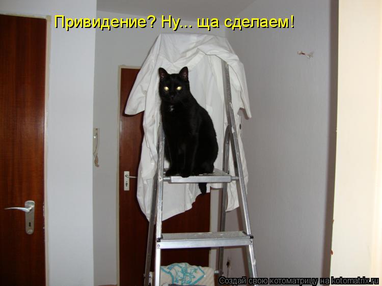 Привидение? Ну... ща сделаем!... Котоматрица: Привидение? Ну... ща сделаем!
