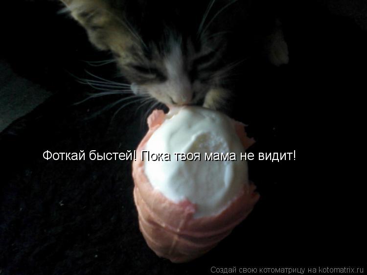 Фоткай быстей! Пока твоя мама не видит!... Котоматрица: Фоткай быстей! Пока твоя мама не видит!
