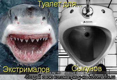 Туалет для... Экстрималов Сыкунов... Котоматрица: Туалет для... Экстрималов Сыкунов