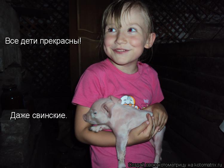 Все дети прекрасны! Даже свинские.... Котоматрица: Все дети прекрасны! Даже свинские.