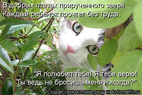 "Я полюбил тебя! Я тебе верю! Ты ведь не бросишь меня никогда?" В добрых глазах прирученного зверя Ка... Котоматрица: "Я полюбил тебя! Я тебе верю! Ты ведь не бросишь меня никогда?" В добрых глазах прирученного зверя Каждый ребёнок прочтет без труда: