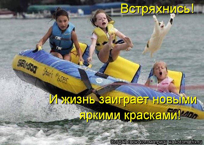 Встряхнись! И жизнь заиграет новыми яркими красками!... Котоматрица: Встряхнись! И жизнь заиграет новыми яркими красками!