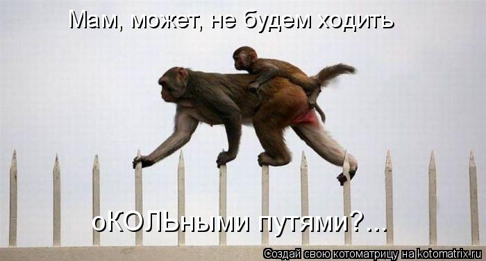 Мам, может, не будем ходить оКОЛЬными путями?...... Котоматрица: Мам, может, не будем ходить оКОЛЬными путями?...