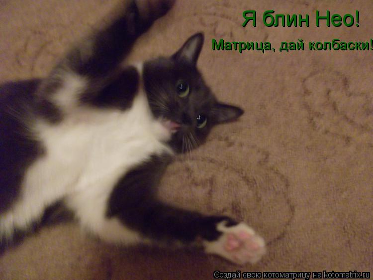 Я блин Нео! Матрица, дай колбаски!... Котоматрица: Я блин Нео! Матрица, дай колбаски!