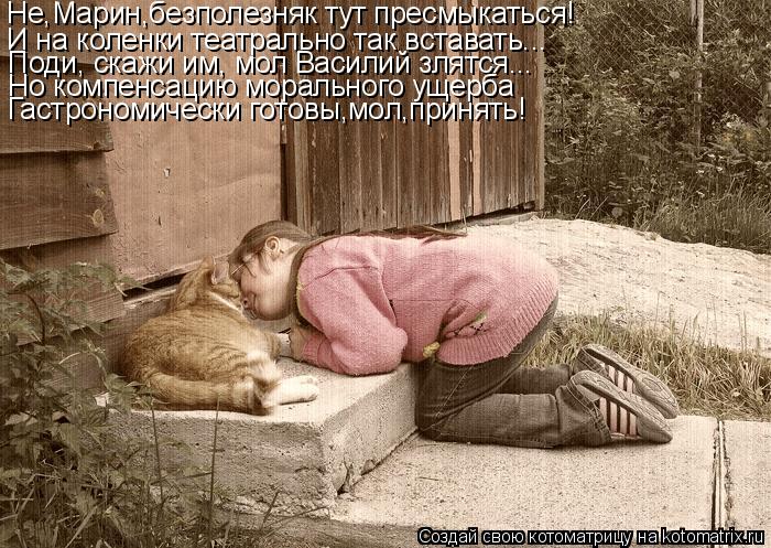 Не,Марин,безполезняк тут пресмыкаться! И на коленки театрально так вставать... Поди, скажи им, мол Ва... Котоматрица: Не,Марин,безполезняк тут пресмыкаться! И на коленки театрально так вставать... Поди, скажи им, мол Василий злятся... Но компенсацию моральног