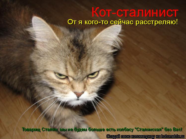 Кот-сталинист От я кого-то сейчас расстреляю! Товарищ Сталин, мы не будем больше есть колбасу "Сталин... Котоматрица: Кот-сталинист От я кого-то сейчас расстреляю! Товарищ Сталин, мы не будем больше есть колбасу "Сталинская" без Вас!