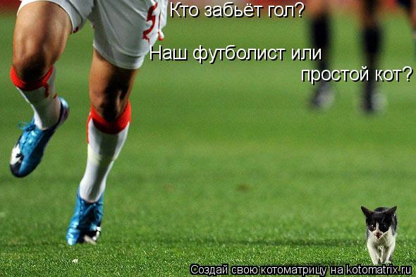 Кто забьёт гол? Наш футболист или простой кот?... Котоматрица: Кто забьёт гол? Наш футболист или простой кот?