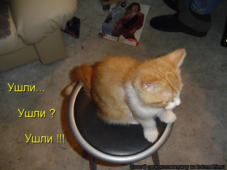 Ушли... Ушли ? Ушли !!!... Котоматрица: Ушли... Ушли ? Ушли !!!