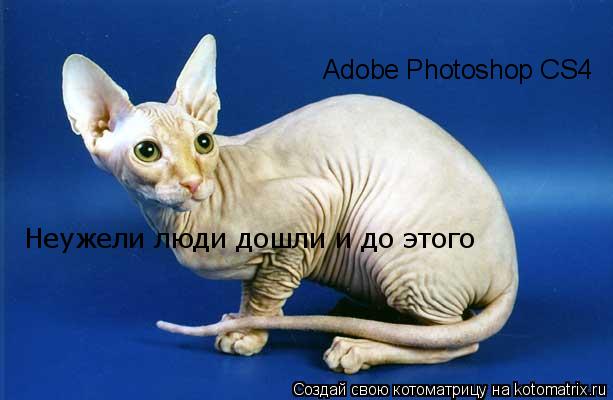 Adobe Photoshop CS4 Неужели люди дошли и до этого... Котоматрица: Adobe Photoshop CS4 Неужели люди дошли и до этого