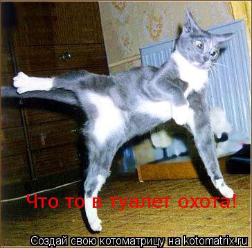 Что то в туалет охота!... Котоматрица: Что то в туалет охота!