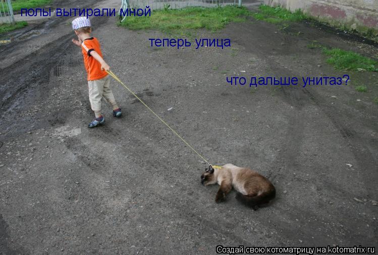 полы вытирали мной теперь улица что дальше унитаз?... Котоматрица: полы вытирали мной теперь улица что дальше унитаз?
