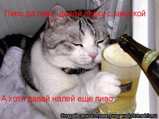 Пиво да пиво, давай водку с закуской А хотя давай налей еще пиво... Котоматрица: Пиво да пиво, давай водку с закуской А хотя давай налей еще пиво