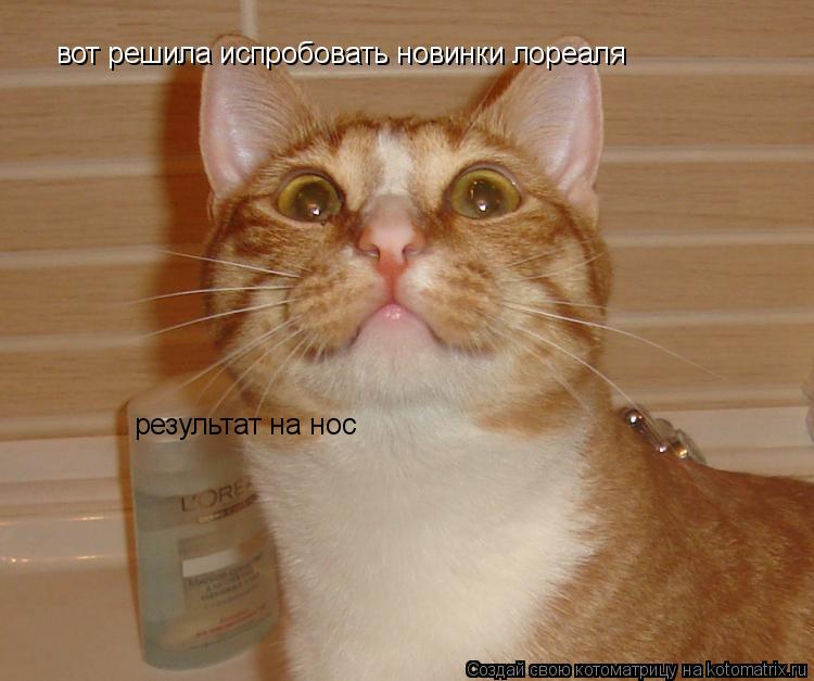 вот решила испробовать новинки лореаля результат на нос... Котоматрица: вот решила испробовать новинки лореаля результат на нос