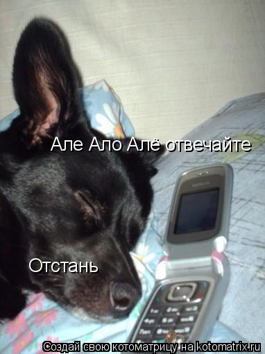 Але Ало Алё отвечайте Отстань... Котоматрица: Але Ало Алё отвечайте Отстань