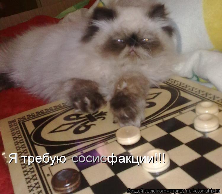 Я требую факции!!! сосис... Котоматрица: Я требую факции!!! сосис