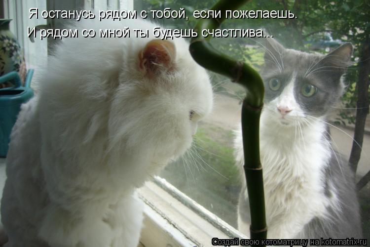 Я останусь рядом с тобой, если пожелаешь. И рядом со мной ты будешь счастлива...... Котоматрица: Я останусь рядом с тобой, если пожелаешь. И рядом со мной ты будешь счастлива...