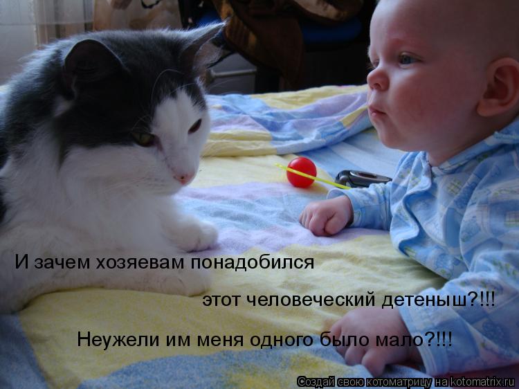 И зачем хозяевам понадобился этот человеческий детеныш?!!! Неужели им меня одного было мало?!!!... Котоматрица: И зачем хозяевам понадобился этот человеческий детеныш?!!! Неужели им меня одного было мало?!!!