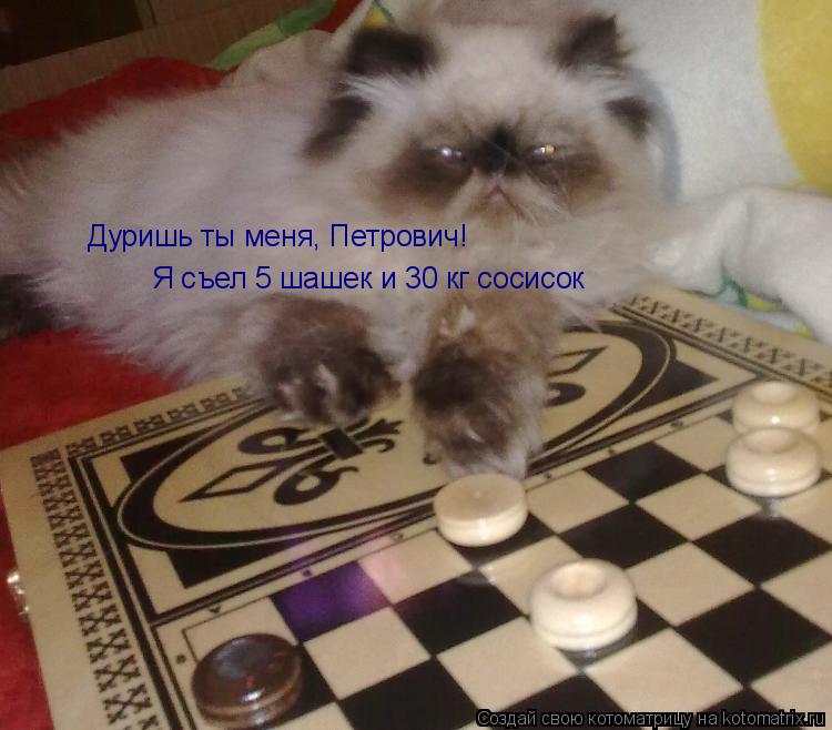 Дуришь ты меня, Петрович! Я съел 5 шашек! Дуришь ты меня, Петрович! Я съел 5 шашек и 30 кг сосисок... Котоматрица: Дуришь ты меня, Петрович! Я съел 5 шашек! Дуришь ты меня, Петрович! Я съел 5 шашек и 30 кг сосисок