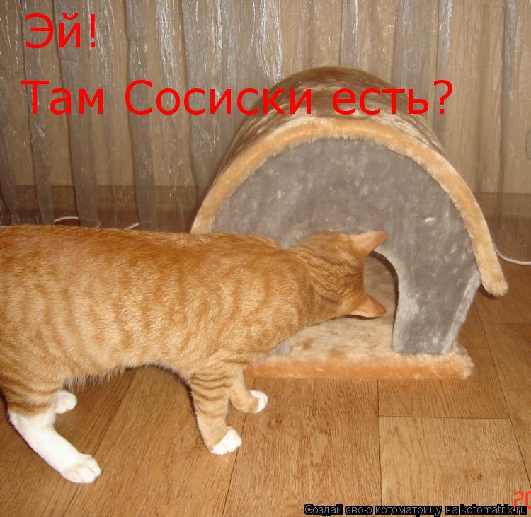 Эй! Там Сосиски есть?... Котоматрица: Эй! Там Сосиски есть?
