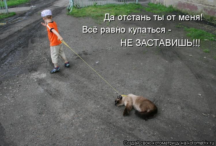 Да отстань ты от меня! Всё равно купаться - НЕ ЗАСТАВИШЬ!!!... Котоматрица: Да отстань ты от меня! Всё равно купаться - НЕ ЗАСТАВИШЬ!!!