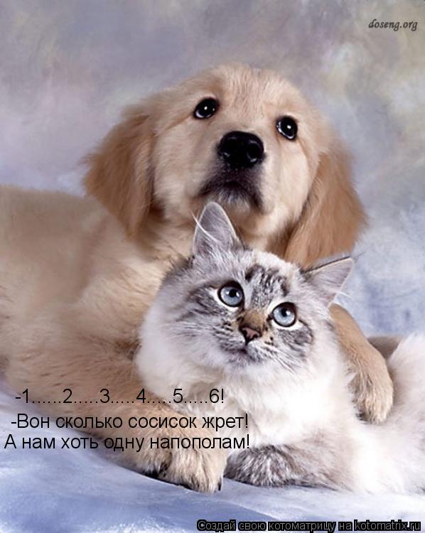 -1......2.....3.....4.....5.....6! -Вон сколько сосисок жрет! А нам хоть одну напополам!... Котоматрица: -1......2.....3.....4.....5.....6! -Вон сколько сосисок жрет! А нам хоть одну напополам!