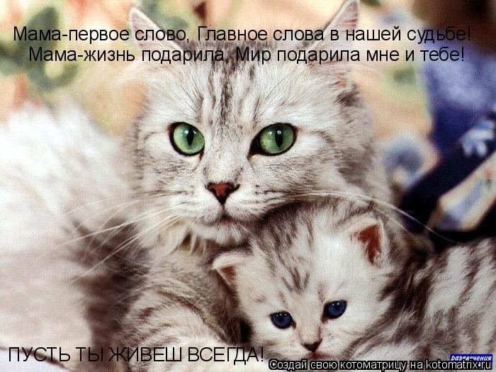 Мама-первое слово, Главное слова в нашей судьбе! Мама-жизнь подарила, Мир подарила мне и тебе! ПУСТЬ... Котоматрица: Мама-первое слово, Главное слова в нашей судьбе! Мама-жизнь подарила, Мир подарила мне и тебе! ПУСТЬ ТЫ ЖИВЕШ ВСЕГДА!