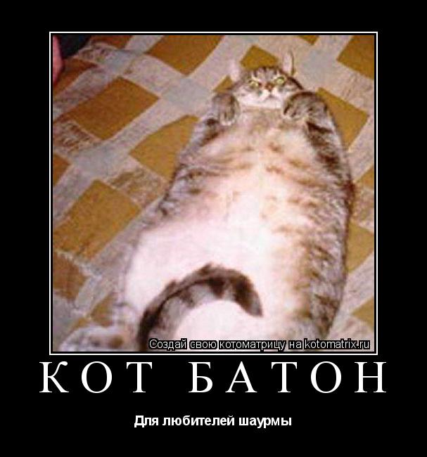Кот Батон Для любителей шаурмы... Котоматрица: Кот Батон Для любителей шаурмы