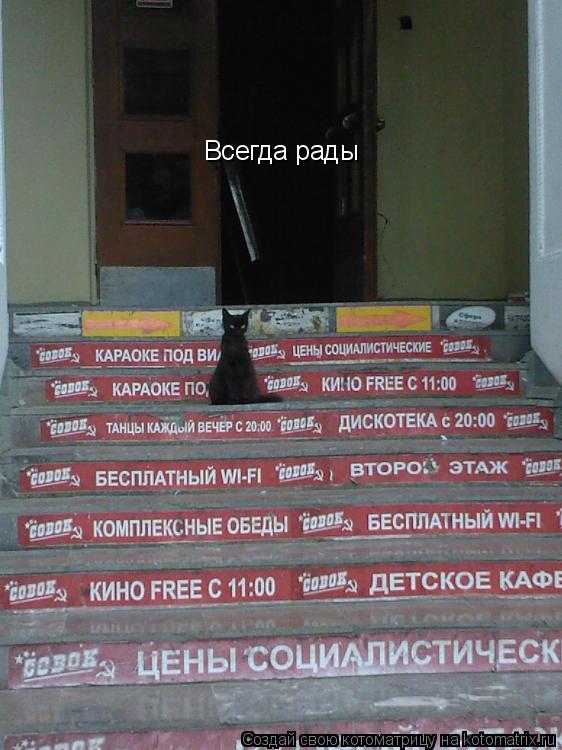 Всегда рады... Котоматрица: Всегда рады