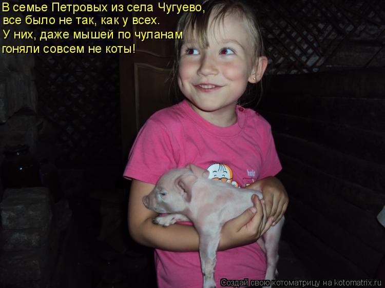 Котоматрица: В семье Петровых из села Чугуево, все было не так, как у всех. У них, даже мышей по чуланам гоняли совсем не коты!