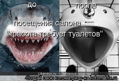 до после посещения салона "красота требует туалетов"... Котоматрица: до после посещения салона "красота требует туалетов"