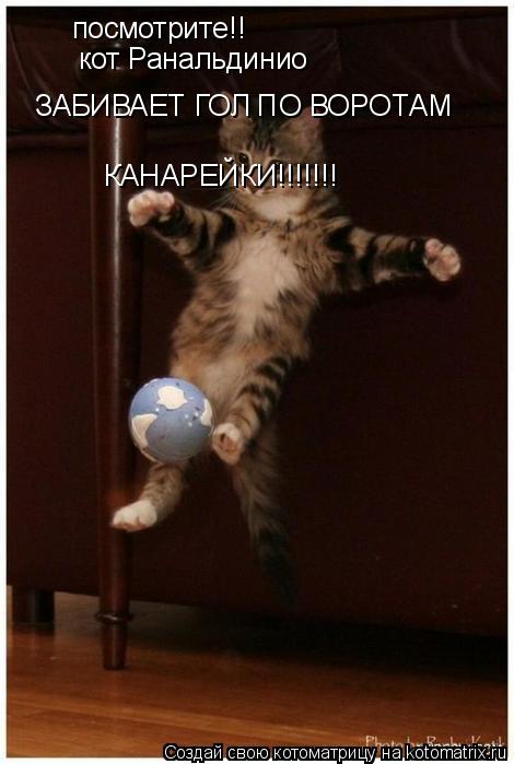 посмотрите!! кот Ранальдинио ЗАБИВАЕТ ГОЛ ПО ВОРОТАМ КАНАРЕЙКИ!!!!!!!... Котоматрица: посмотрите!! кот Ранальдинио ЗАБИВАЕТ ГОЛ ПО ВОРОТАМ КАНАРЕЙКИ!!!!!!!
