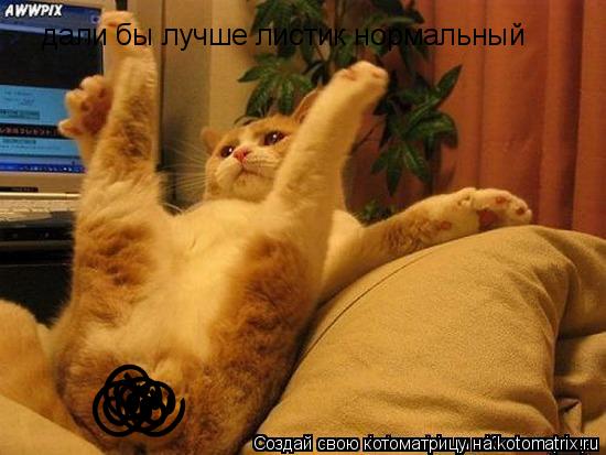 дали бы лучше листик нормальный @ @ @ @... Котоматрица: дали бы лучше листик нормальный @ @ @ @