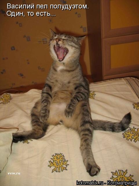Василий пел полудуэтом. Один, то есть...... Котоматрица: Василий пел полудуэтом. Один, то есть...