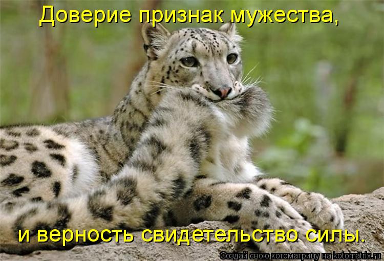и верность свидетельство силы. Доверие признак мужества,... Котоматрица: и верность свидетельство силы. Доверие признак мужества,