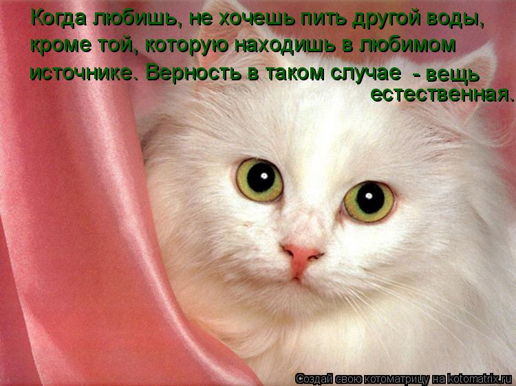 Когда любишь, не хочешь пить другой воды, кроме той, которую находишь в любимом источнике. Верность в... Котоматрица: Когда любишь, не хочешь пить другой воды, кроме той, которую находишь в любимом источнике. Верность в таком случае - вещь естественная.
