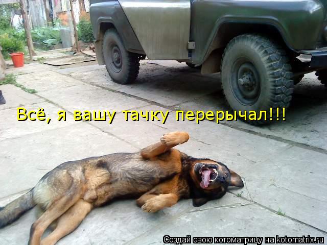 Всё, я вашу тачку перерычал!!!... Котоматрица: Всё, я вашу тачку перерычал!!!
