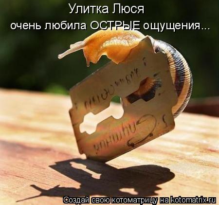 Улитка Люся очень любила ОСТРЫЕ ощущения...... Котоматрица: Улитка Люся очень любила ОСТРЫЕ ощущения...