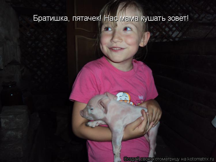 Братишка, пятачек! Нас мама кушать зовет!... Котоматрица: Братишка, пятачек! Нас мама кушать зовет!