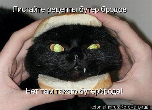 Листайте рецепты бутер бродов Нет там такого бутерброда!... Котоматрица: Листайте рецепты бутер бродов Нет там такого бутерброда!