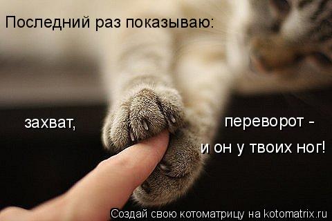 Последний раз показываю: захват, переворот - и он у твоих ног!... Котоматрица: Последний раз показываю: захват, переворот - и он у твоих ног!
