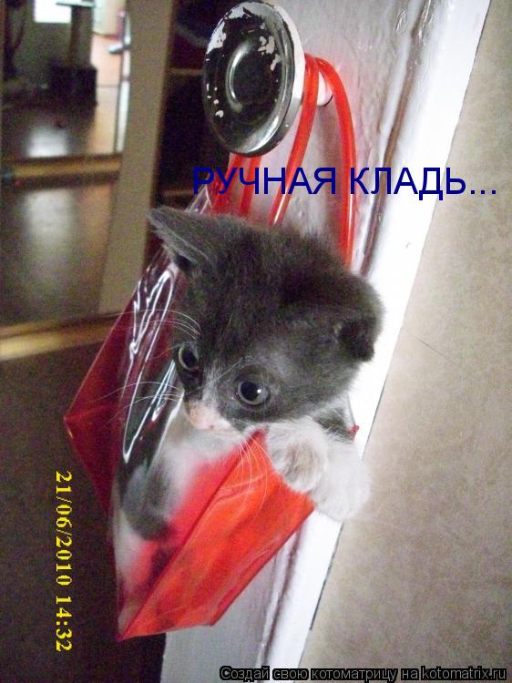 РУЧНАЯ КЛАДЬ...... Котоматрица: РУЧНАЯ КЛАДЬ...