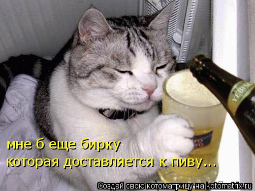 мне б еще бирку которая доставляется к пиву...... Котоматрица: мне б еще бирку которая доставляется к пиву...