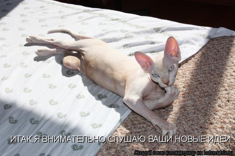 ИТАК,Я ВНИМАТЕЛЬНО СЛУШАЮ ВАШИ НОВЫЕ ИДЕИ... ИТАК,Я ВНИМАТЕЛЬНО СЛУШАЮ ВАШИ НОВЫЕ ИДЕИ...... Котоматрица: ИТАК,Я ВНИМАТЕЛЬНО СЛУШАЮ ВАШИ НОВЫЕ ИДЕИ... ИТАК,Я ВНИМАТЕЛЬНО СЛУШАЮ ВАШИ НОВЫЕ ИДЕИ...