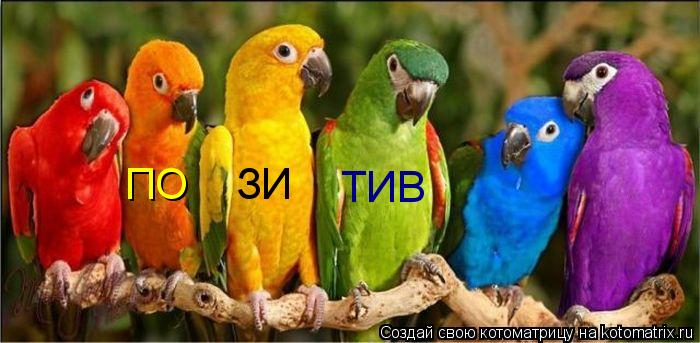 ПО ЗИ ТИВ... Котоматрица: ПО ЗИ ТИВ